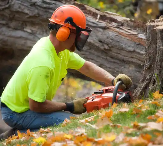 tree services Cardwell